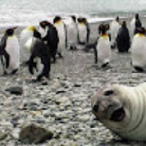 Meet your Posher, Marc